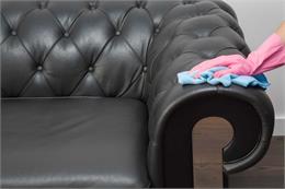 Cách lau ghế sofa da vừa làm sạch hiệu quả vừa bảo vệ chất liệu da